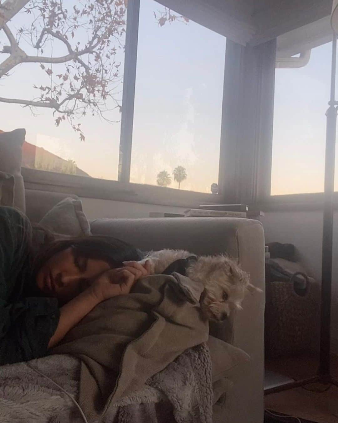 オリヴィア・マンさんのインスタグラム写真 - (オリヴィア・マンInstagram)「Two lazy pups 🐶🤎」1月22日 12時40分 - oliviamunn