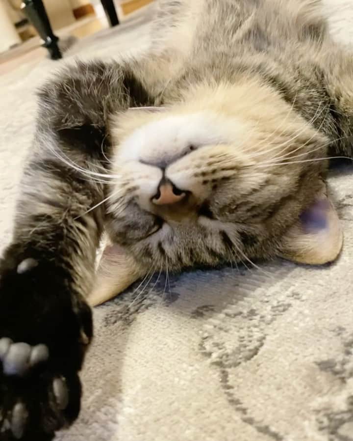 ohshima_moaのインスタグラム