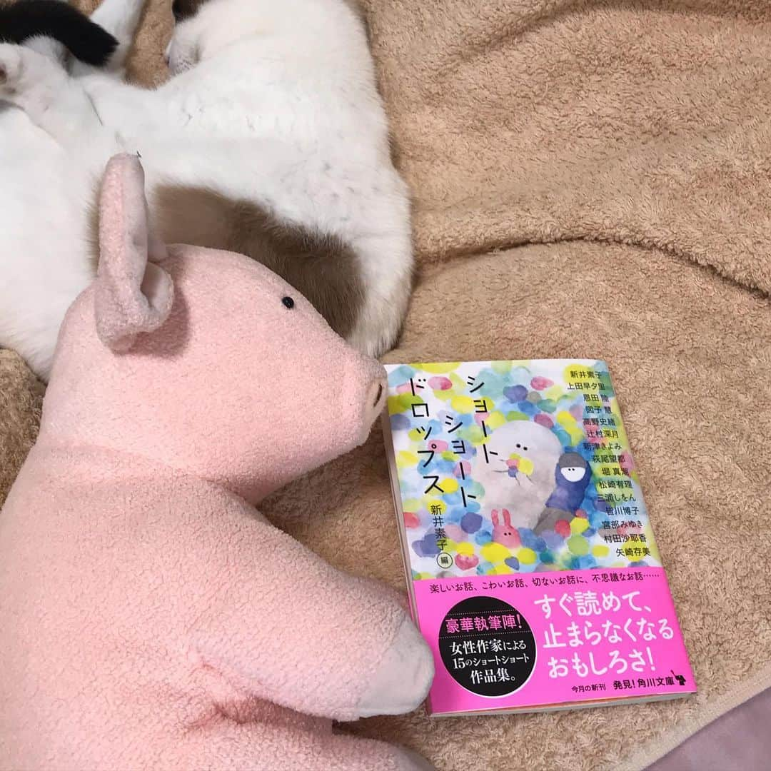 矢崎存美さんのインスタグラム写真 - (矢崎存美Instagram)「『ショートショート ドロップス』（角川文庫）本日1/22発売です。ぶたぶたシリーズ最初の作品「初恋」も入っています。 #ぶたぶた #山崎ぶたぶた #矢崎存美 #ぶたぶたシリーズ #ショートショートドロップス #角川文庫」1月22日 13時06分 - yazakiarimi