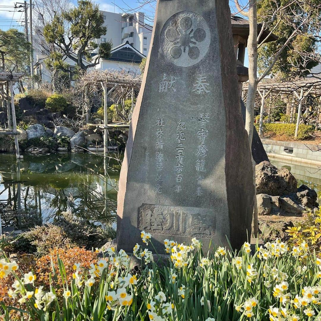 向日葵?さんのインスタグラム写真 - (向日葵?Instagram)「今週パパ有給消化DAY😁 ＊ 上着いらないポカポカ陽気🎵 スイセンに梅の花もチラホラ🌸 ＊ #犬#ダックス#ダックスフンド#ミニチュアダックス#dachs#いぬぐみ📛#pecoいぬ部#シニア犬 #よく寝るシニア犬#わんぱく部#サンデイ#todayswanko #ボンボンハイスクール#ダックスの日常」1月22日 13時46分 - hinata.miyuki