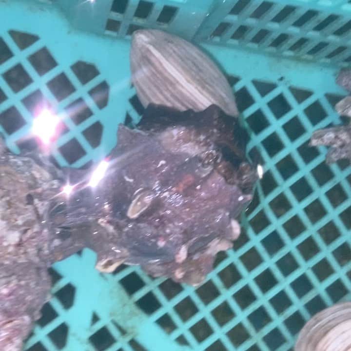 鶏魚 谷町のグルメインスタ