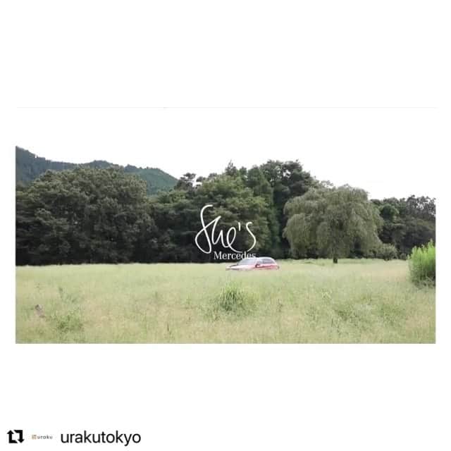 田沢美亜のインスタグラム：「uraku✖︎メルセデスベンツの旅紀行続けてのアップです。 ハーブの生命力に驚きの連続でした！！ ハーバリスト石井智子さんのストーリー 是非ご覧ください！ プロフィールのリンクからどうぞ☆  #Repost @urakutokyo with @make_repost ・・・ ベンツと共に綴るurakuの旅日記 「She’s Mercedes meets Japan」がアップされました。 旅を綴ったムービーを加え、装いも新たに連載3年目を迎えたメルセデスで巡る旅。 しばらく旅に出られずお休みとなっていましたが、この秋より再出発することとなりました！ ・ 再出発はいつも東京から！ 品川から恵比寿へ向かい、恵比寿から大山道をめぐる旅です。 前編に引き続き、中編は恵比寿から大山道を進み、相模原にあるJHS 研究圃場を訪ねました。 ・ そこにはJHS主宰の石井智子さんが、ボーダーのないフィトセラピー全体を含む研究の場でありたいと10年かけて作り上げたワンダーランドがありました。 音大で教鞭をとっていた石井さんが、ハーブの母のような存在になるまで。 是非ご覧になって、ハーブの風を感じてみてください。 ・ https://mb-live.jp/shes-mercedes/meets-japan-2020-12-11/ ・ Vol. 19 東京都　大山道　中編 　Japan Herb Science主宰　石井智子 環境を整え、見守り土地に根付かせるハーブ作り ・ ・ @japanherbscience  @urbanfarmersclub @shesmercedes  @mercedesbenzjapan  @urakutokyo  film by @aitomatsu  special thanks to @garmentreproduction  @continuer.official  ・ #uraku #uraku_tokyo #shesmercedesmeetsjapan  #shesMercedes #メルセデスベンツ #恵比寿 #大山道 #相模原 #JapanHerbScience  #石井智子 #ハーブ #植物療法 #フィトセラピー #ハーバリスト」