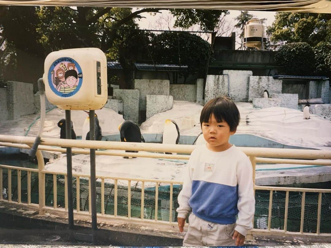 皆川勇気のインスタグラム：「小学生の時、僕が一生懸命作ったチャーハン。一口目を食べる前から、父にマヨネーズと醤油をぶっかけられたのをふと思い出しました！  僕は息子が一生懸命作ったチャーハンの一口目を食べる前からマヨネーズと醤油をぶっかけない父親になりたいです！」