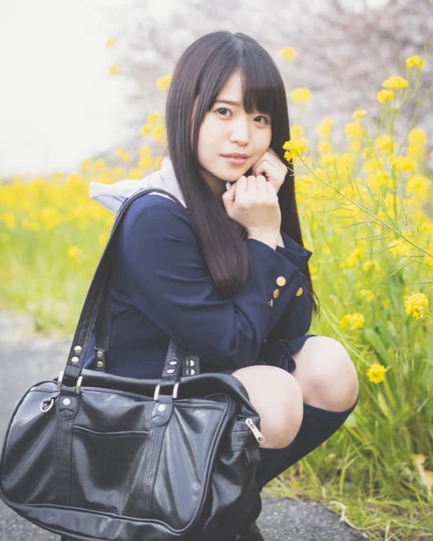 のインスタグラム：「コミケで出すはずだったさくらと菜の花のお写真爆出し〜 #ポートレート#菜の花　#桜　#photo #コスプレ　#JK #女子高生　#nuturephotography #黒髪　#黒髪ロング　#制服　#アイドル　#japanesegirl #japaneseidol #idol #グラビア　#gruvia #lolita #合法ロリ#kawaii #コンカフェ店員」