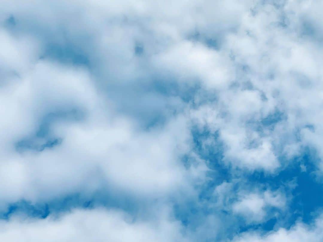 倉田雅世さんのインスタグラム写真 - (倉田雅世Instagram)「雲の流れが早いなあ。 ひともみんなどこか不安な気持ちで雲のようにたゆたっているのかも。 口角上げていきましょう。」1月22日 14時52分 - kuralamune