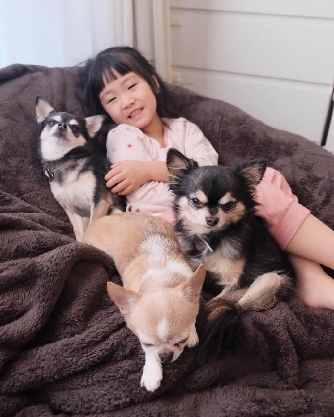 maika_kikitoyjijiさんのインスタグラム写真 - (maika_kikitoyjijiInstagram)「. こなっちゃんには 気を許すようになって来た気がする🤔 . 関係性は前々から悪くはないけど、 やっぱり小型犬は身体が小さいから 自分を守る為にも子供達の 予測不能な動きには 敏感だし苦手だよね🤔💦 . 私もそこで寝たい❤️ . . #犬スタグラム #犬との生活 #犬と暮らす #犬すたぐらむ #犬服ハンドメイド #犬写真 #犬かわいい #犬グッズ #チワワ好きな人と繋がりたい #チワワ親バカ部 #チワワのいる暮らし #チワワ多頭飼い #チワワ部 #チワワなしでは生きていけません会 #チワワのいる生活 #チワワスムース #チワワン #チワワlove」1月22日 15時03分 - maika_kikitoyjiji