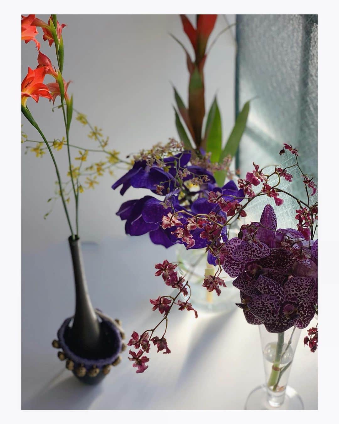 白幡啓さんのインスタグラム写真 - (白幡啓Instagram)「撮影後、欲しいお花を頂いて 帰ります❤️❤️  最近流行りなんだよね？ ちょっとずつ活け。」1月22日 15時33分 - 1030kei