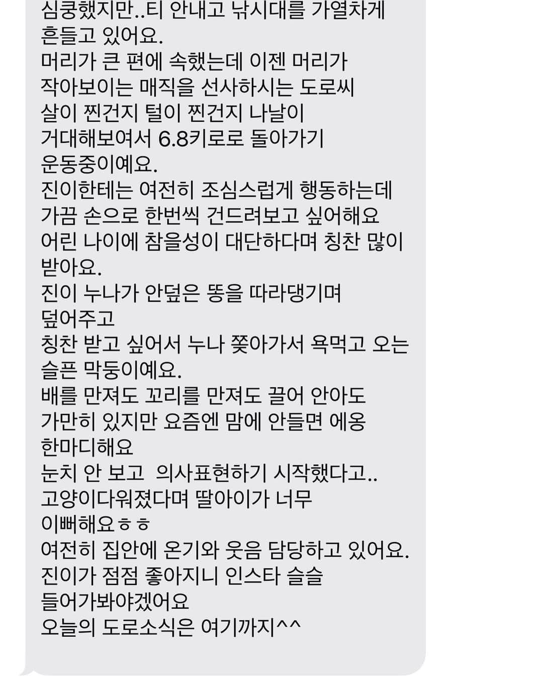 ギモさんのインスタグラム写真 - (ギモInstagram)「반가운 도로 소식입니다! 도로는 털이 완벽히 다 자라서 아주 멋있고 고급진 왕자님 스타일로 변신을 마쳤습니다🖤 몸무게 증말로 무엇이냐ㅎㅎㅎ 3.6에서 7까지 가다니ㅋㅋ 여러가지로 기특하고 장한 도로입니다. 지난번에 어떤분이 사진말고도 집사님의 재밌는 메세지도 궁금하다고 하셔서 함께 공유합니다. 즨짜 필력이 장난이 아니세요ㅋㅋㅋ 도로야! 새해에는 너네집에서 많이많이 이쁨 받고 많이많이 사랑드리고 잘 커야돼!! #cat #doro #도로마무 👈🏻click #원래는털없은회색등이었는데 #이젠등이까만고양이예요 #감격의도가니탕」1月22日 16時24分 - 1room1cat