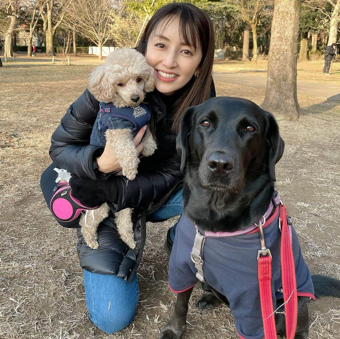 矢田亜希子のインスタグラム