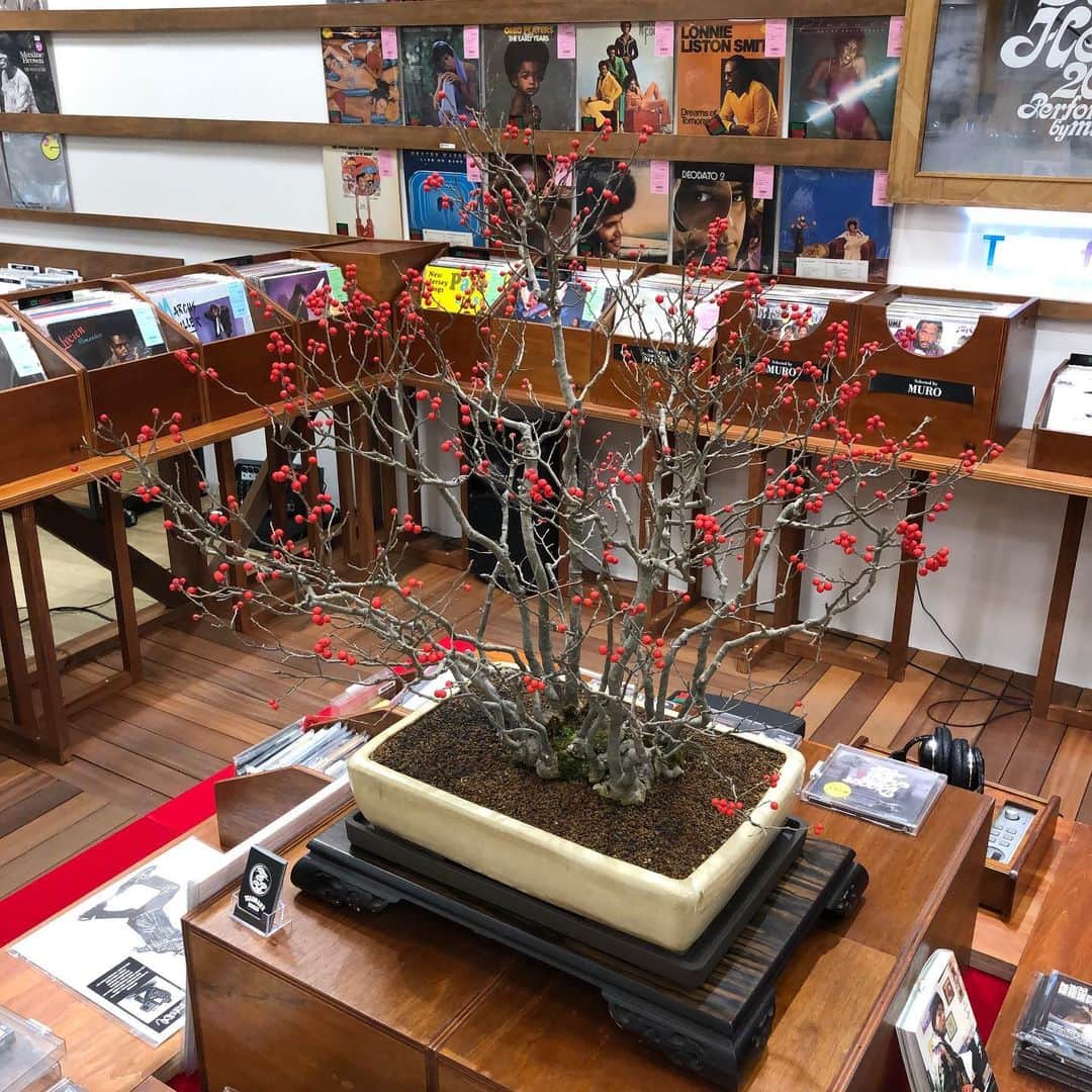 MUROのインスタグラム