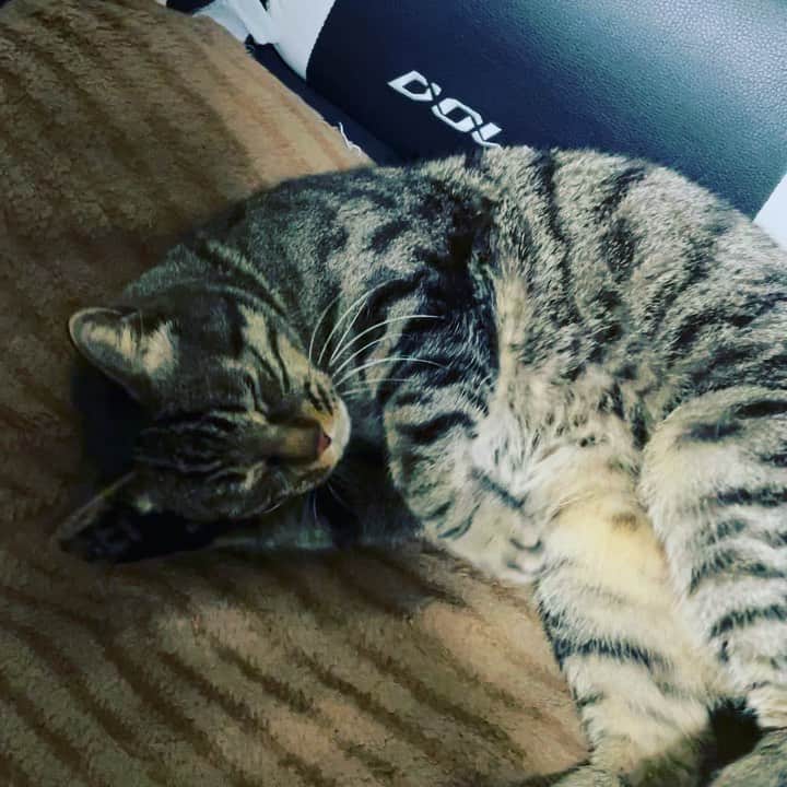 ちょび のインスタグラム