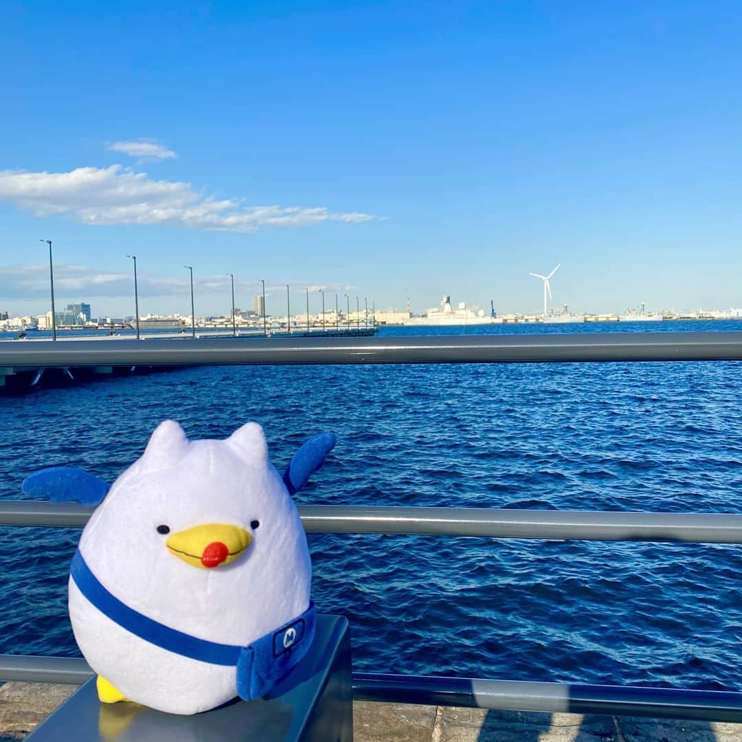 東京カメラ部 横浜分室さんのインスタグラム写真 - (東京カメラ部 横浜分室Instagram)「「横浜ハンマーヘッド」 . 2019年10月に開業した横浜ハンマーヘッド。 2階から撮影した、清々しい空にみなとみらいの街並が映える素敵な景色をお届けします。 壮大な横浜港や、施設名にもなっている迫力のハンマーヘッドも見ることができる、素敵なスポットです♪ . みなとみらい線公式Facebook「わたしの横浜4.1キロさんぽ」で横浜の魅力を発信中！ そちらも是非ご覧下さい！<PR> . #みなとみらい線フォト散歩 #みなとみらい線フォトさんぽ #みなとみらい線 #横浜 #新高島 #みなとみらい #馬車道 #日本大通り #元町中華街 #yokohama #東京カメラ部 #Japan #photo #写真 #日本 #横浜ハンマーヘッド #ハンマーヘッド #HAMMERHEAD #新港ふ頭客船ターミナル #横浜港 #横浜観光 #映え #映えスポット #エモい #風景 #フォト #フォトジェニック #フォトスポット #写真好きな人と繋がりたい #写真撮っている人と繋がりたい . ※日本政府により緊急事態宣言が発令されました。 皆様、政府、自治体など公的機関の指示に従った行動をお願いします。 東京カメラ部および分室では、写真を「見る楽しみ」を提供することを通して、微力ながら皆様にわずかな時間でも癒しをお届けしたいと思っております。」1月22日 17時00分 - tcc.yokohama