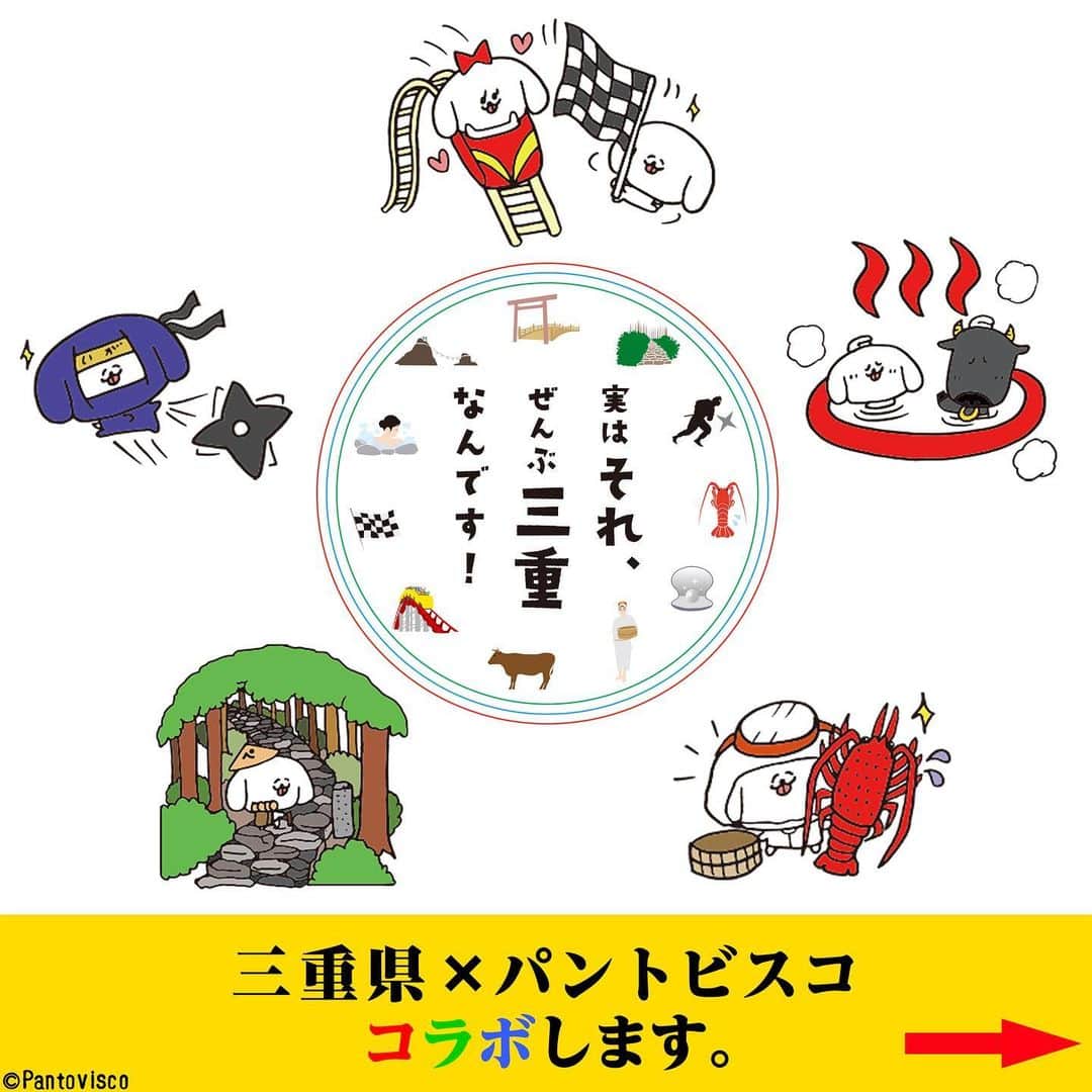 pantoviscoのインスタグラム