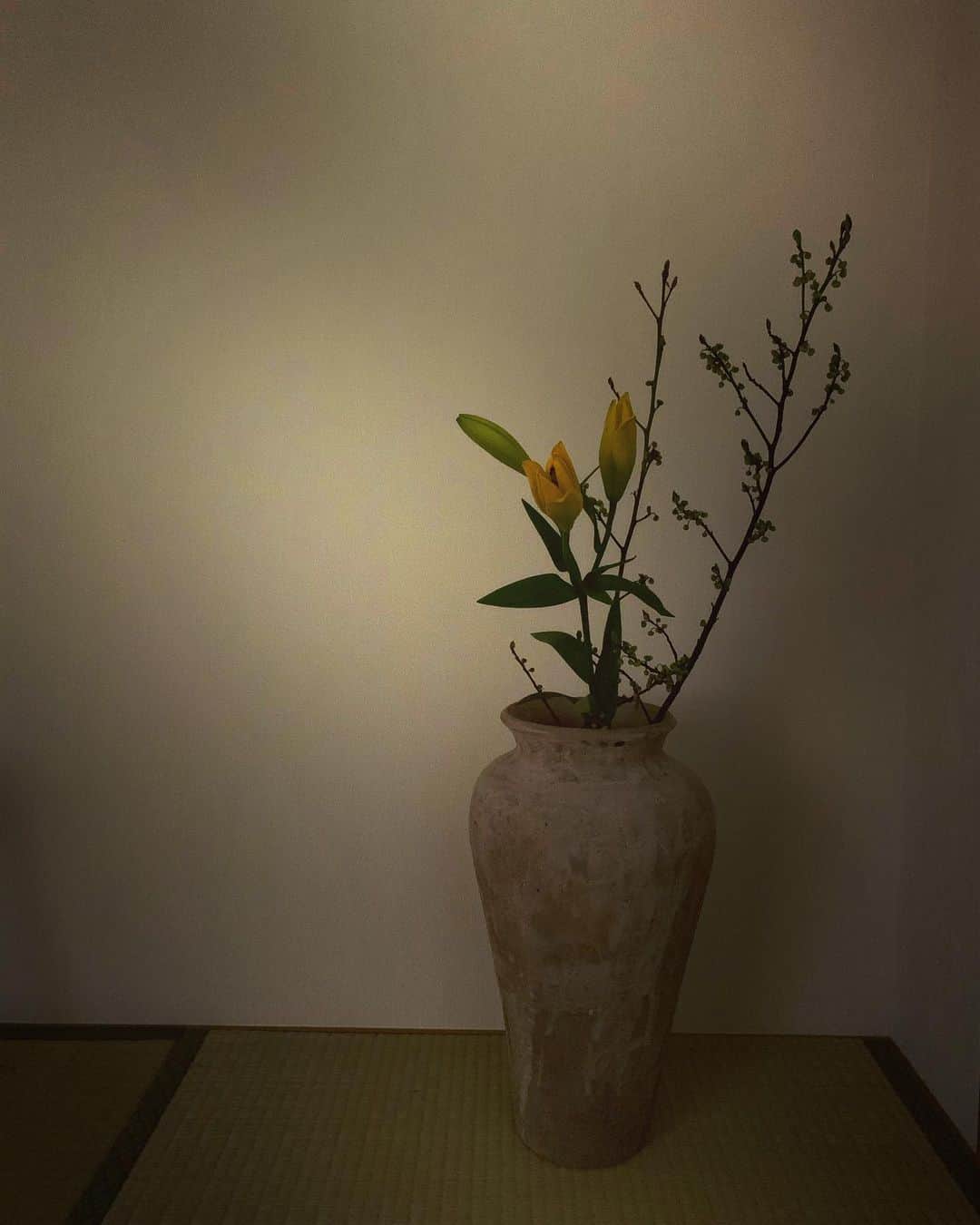 樋場早紀さんのインスタグラム写真 - (樋場早紀Instagram)「京都にいるとたたみに触れる機会が多くなって畳の良さが身にしみます。 ＃畳のある生活　#京都　#たたみ」1月22日 17時06分 - saki_toyoba