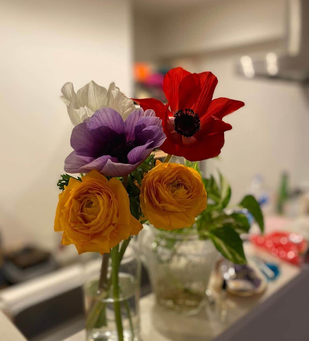 山本栄治さんのインスタグラム写真 - (山本栄治Instagram)「夫婦で気に入った花を選んでみた  夫・オレンジ  妻・赤・白・紫  緊急事態宣言生活中  少しばかりの  やすらぎ👍」1月22日 17時12分 - eiji7115