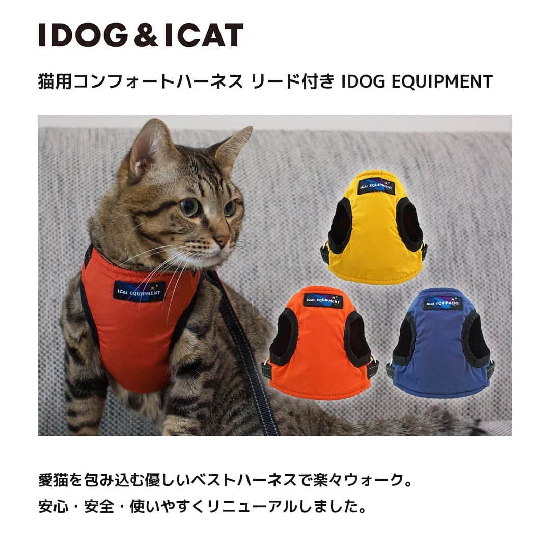 iDog&iCatさんのインスタグラム写真 - (iDog&iCatInstagram)「通院やおでかけの際の安全に。 「iCat 猫用コンフォートハーネス リード付き ICAT EQUIPMENT」をご紹介★  愛猫を包み込む優しいベストハーネスで楽々ウォーク。 安心・安全・使いやすくリニューアルしました。   猫ちゃんの体型にフィットする、安全で優しいベスト型ハーネスです。 胸元に「iCat EQUIPMENT」シリーズのネームタグが付いたスポーティなデザイン。  裏地のクッションメッシュが衝撃を面で吸収してくれるので仔猫やシニア猫にもぴったりなハーネスです。  リード部分に回転カンを付け、絡まりを防いで愛猫の動きをスムーズにサポートします。 iCatならではの立体裁断でぴったりフィット！ 3サイズ展開で愛猫に丁度よいサイズを選んであげてください。  商品番号/14543- 商品名/iCat 猫用コンフォートハーネス リード付き ICAT EQUIPMENT 3,520円(税込) マスタード/オレンジ/ネイビー  #iDog #IDOGICAT #iCat #新作 #猫用ハーネス #ハーネス #犬の服 #犬の服iDog #うちの子優勝 #猫 #にゃんすたぐらむ #cat #ねこ #MIX猫」1月22日 17時12分 - idogicat