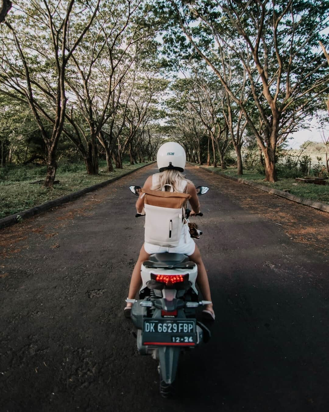 Kapten & Sonさんのインスタグラム写真 - (Kapten & SonInstagram)「'Straight into the weekend!' 🛵 Enjoy your weekend, Kaptens! @kacenni on her way exploring Bali with our backpack Aarhus "Cream Amber". 🧡 #bekapten #kaptenandson⁠ .⁠ .⁠ .⁠ #backpack #aarhus #onthego #weekend #exploring #travel #adventure #trips #bali #style #fashion #ootd #inspo #inspiration」1月23日 4時30分 - kaptenandson