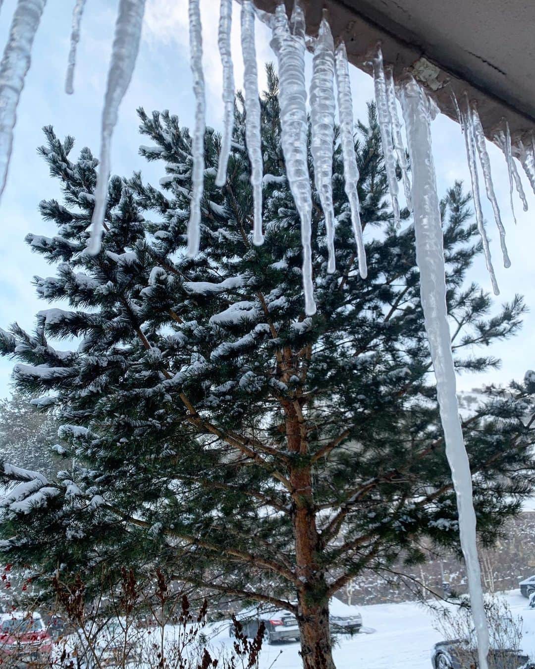 ズザンナ・ヤカボスさんのインスタグラム写真 - (ズザンナ・ヤカボスInstagram)「❄️」1月23日 3時06分 - zsuzsubell