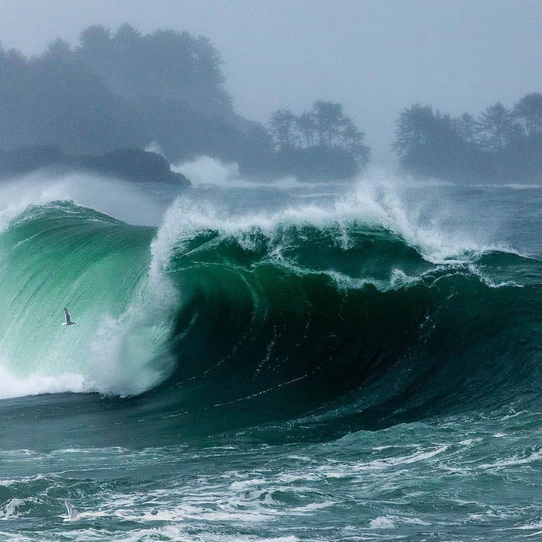 Explore Canadaのインスタグラム：「You spoke and we listened! Inspired by what you wanted to learn more about, this week's #CanadaSpotlight touches on storm watching on the west coast of Canada. Hit save to easily refer back to this post for future inspiration!⁠⠀ ⁠⠀ Along the rocky bluffs and sandy shores of Vancouver Island’s west coast you’ll find Canada’s premier storm watching destinations, Tofino and Ucluelet. This is where you’ll witness the elements come together to create an awe-inspiring spectacle of waves and wind that invigorates the spirit and enthralls the mind. ⁠⠀ ⁠⠀ -	Tofino⁠⠀ Known as Canada’s surf capital, Tofino is characterized by its sandy coastline filled with beaches blessed with unbelievably beautiful backdrops as well as wild winter storms. Overlooking the north end of Tofino’s popular Chesterman Beach the world renowned Wickaninnish Inn emerges beside the sea and among ancient cedars offering up one of the best places to witness a winter storm. Savour local flavours and panoramic views of the sea at the Pointe Restaurant or cozy up next to the fire with a hot espresso at the Driftwood Cafe after a walk along the beach. ⁠⠀ ⁠⠀ -	Ucluelet⁠⠀ Approximately a 40 minute drive away from Tofino, Ucluelet’s geography takes a slightly different turn with a rocky shoreline stretching around the village. Perched among this rocky shoreline you’ll find the perfect vantage point at Blackrock Oceanfront Resort to witness the storm in action. Get cozy up in your room and view the storm from comfort or set out along the Wild Pacific Trail for a completely new perspective all together. ⁠⠀ ⁠⠀ #ExploreCanada #CanadaNice⁠⠀ ⁠⠀ *Know before you go! Check the most up-to-date travel restrictions and border closures before planning your trip and if you're travelling in Canada, download the COVID Alert app to your mobile device.*⁠⠀ ⁠⠀ 📷: @marcuspaladino, @yurichoufour, @wickinnbc, @jeremykoreski, @kylervos, @atthelookout, @michaelrhack, @joordanrenee, @bennnnnnnngie⁠⠀ ⁠⠀ 📍: @tourismtofino, @tourismucluelet, @tourismvancouverisland, @hellobc⁠, @wickinnbc, @blackrockresort⁠⠀ ⁠⠀ #YourTofino #MyUcluelet #ExploreVancouverIsland #ExploreBC⁠⠀」