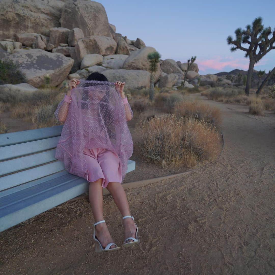 まりかのインスタグラム：「ぴーん。  #maricahase  #japanese #penthousepet  #japanesegirl  #asian #joshuatree  #国立公園   photo by @hirohappytour   お腹空いてます。」