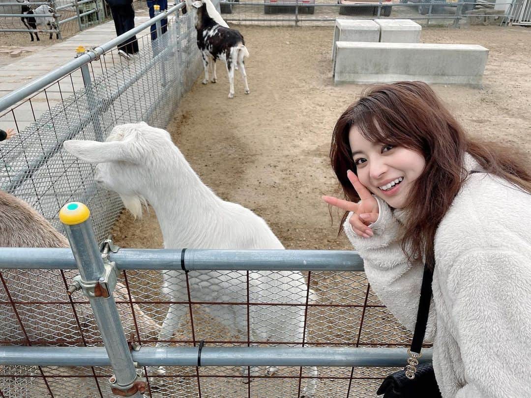 田中優衣さんのインスタグラム写真 - (田中優衣Instagram)「どっちが私でしょう。🐐♑︎  #山羊と山羊座の私」1月22日 19時28分 - heisei_8nen
