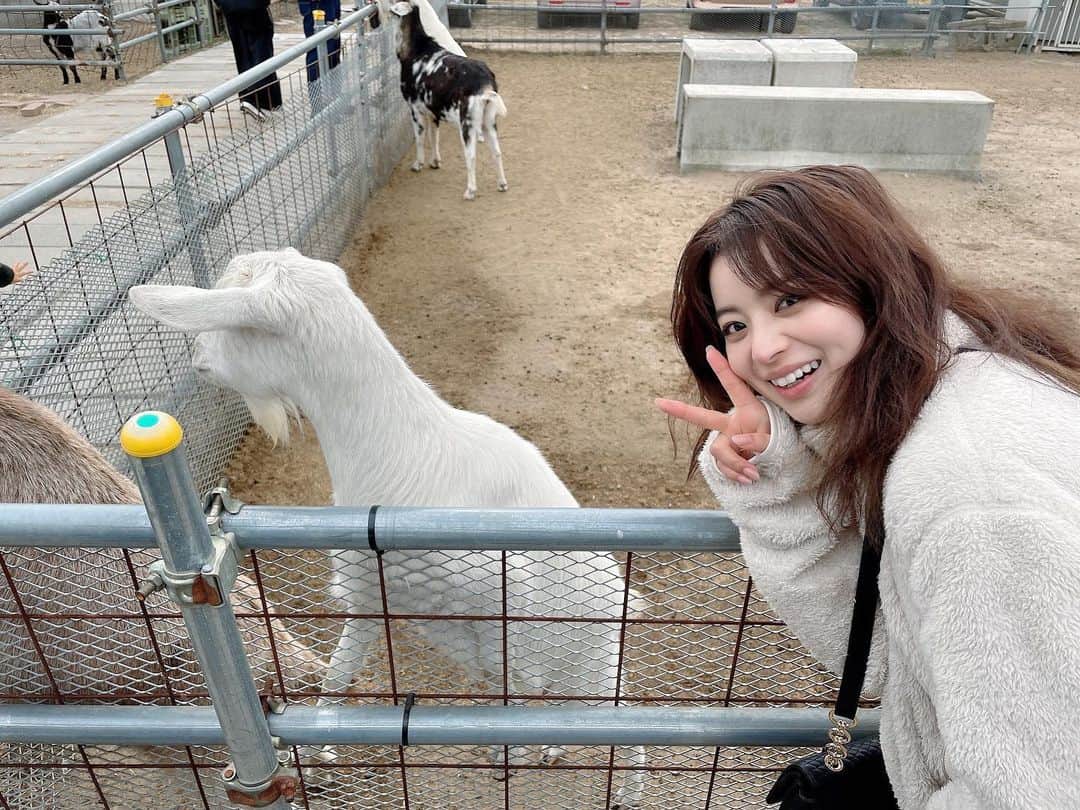 のインスタグラム：「どっちが私でしょう。🐐♑︎  #山羊と山羊座の私」
