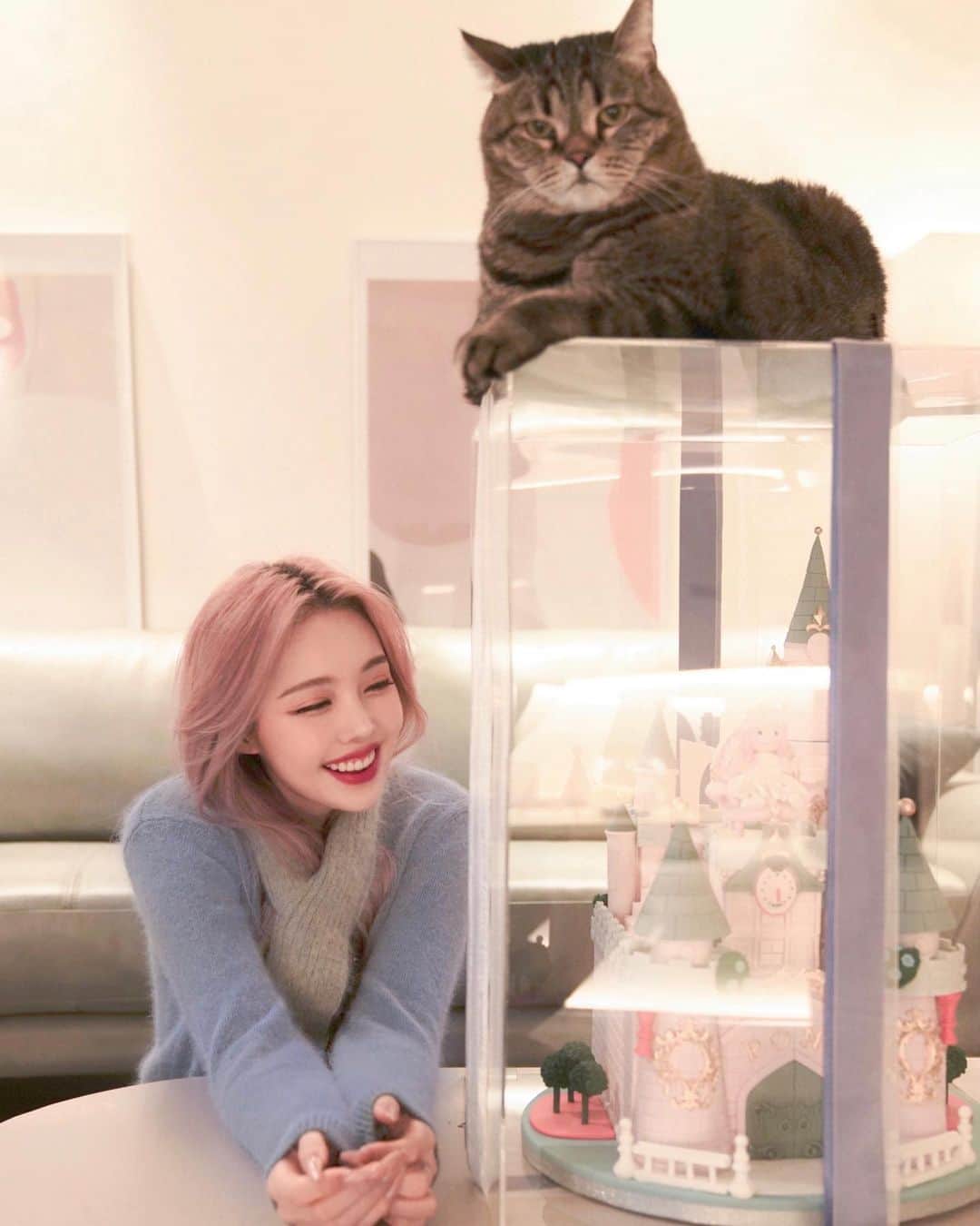 ポニーのインスタグラム：「Thanks for all the birthday wishes!🎂 생일 축하해주셔서 고맙습니다!🍰🤍  범이야 화난 거 아니지..? #january22」