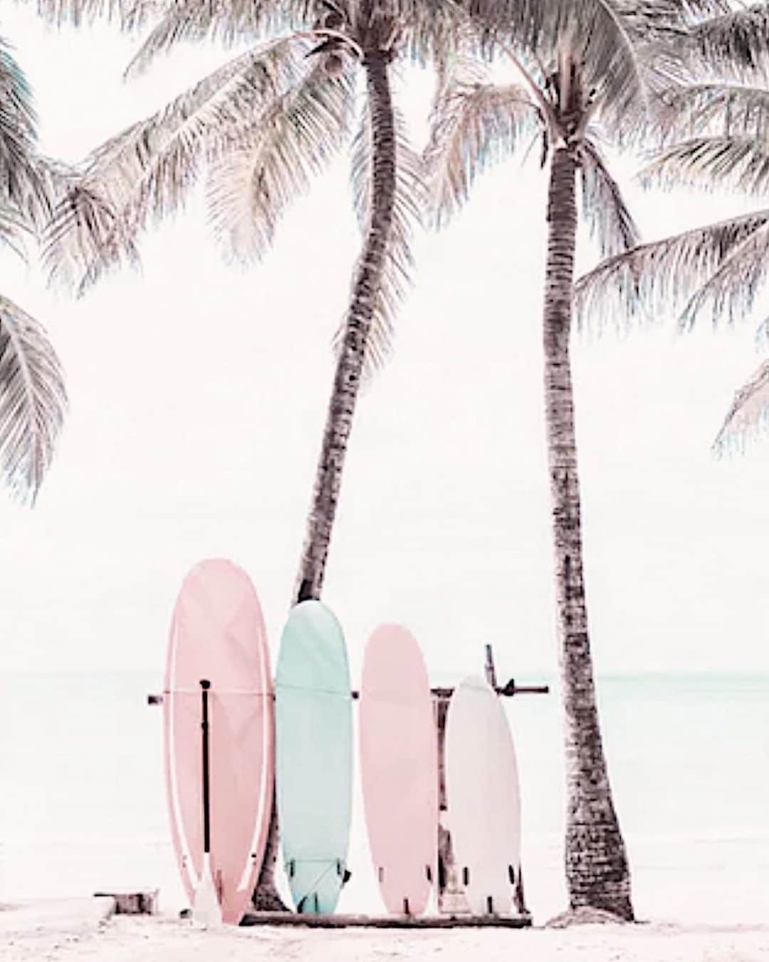 AKKOさんのインスタグラム写真 - (AKKOInstagram)「𝙿𝚊𝚛𝚖 𝚝𝚛𝚎𝚎🌴 ・ ・ 仕事の日は天気良くて 休みは曇りか雨多め😇😇😇 ・ 一言つぶやきでした😏🤙🏾 ・ ・ ・ ・ ・ #beachvibes  #surfboard  #beach #genic_wall  #californiastyle #parmtree  #beachvibes  #ヤシの木 #パームツリー #おしゃれカフェ巡り  #カフェアート  #オシャレ壁紙 #南国 #南国リゾート #リゾートスタイル #ビーチスタイル #カリフォルニアスタイル #ハワイ  #カリフォルニア  #ウォールアート #サーフィン女子  #サーフ系  #ロングボード」1月22日 20時04分 - alohakkooo_39