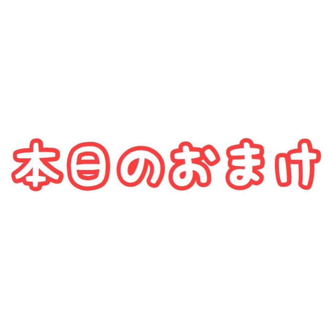 セロリさんのインスタグラム写真 - (セロリInstagram)「【おもちゃ箱〜Part3完結編〜】  本日、Part3解禁でございます。 予告通りPart3は「いくらー向け」となっております。 ご注意ください(笑) なかなかのボリュームだと思います。 いくら、最近「ぬいぐるみ化」が進行しており「ぬいぬい」という新たなあだ名がつきました。 いくら（本名） どんちゃん どんどん どん どんべなむ ぼんちゃん ぼん ぬいぬい・・・ #maltese #マルチーズ #malteseofinstagram #maltese101 #malteser #malteseofficial #maltesedog #dog #instadog #dogstagram #dogoftheday #doglovers #instapet #adorable #ilovemydog  #ペット #わんこ #ふわもこ部 #犬のいる暮らし #いぬら部  #いぬすたぐらむ #イッヌ」1月22日 20時06分 - celeryrabbit