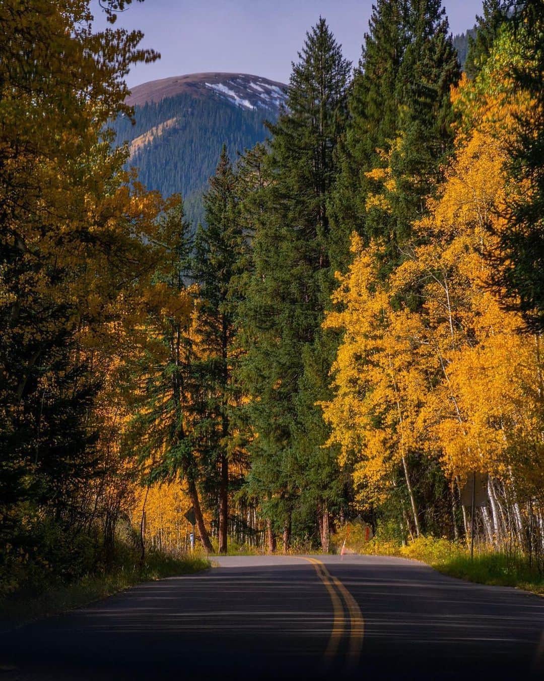 instagoodさんのインスタグラム写真 - (instagoodInstagram)「@coloradoconorr Fall drives around Aspen Colorado were some of my favorite this past season. Nothing beats rolling down the windows and driving around winding roads, during that time of year. 🍁」1月22日 20時10分 - instagood