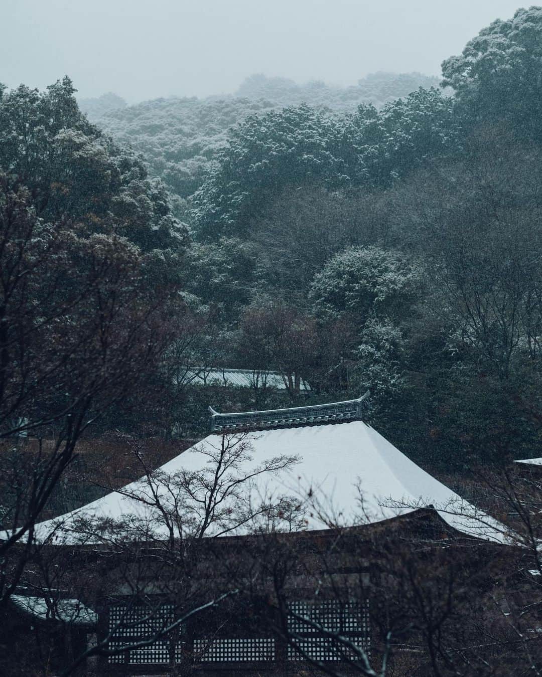清水寺さんのインスタグラム写真 - (清水寺Instagram)「Shaka do. 釈迦堂」1月22日 20時30分 - feel_kiyomizudera