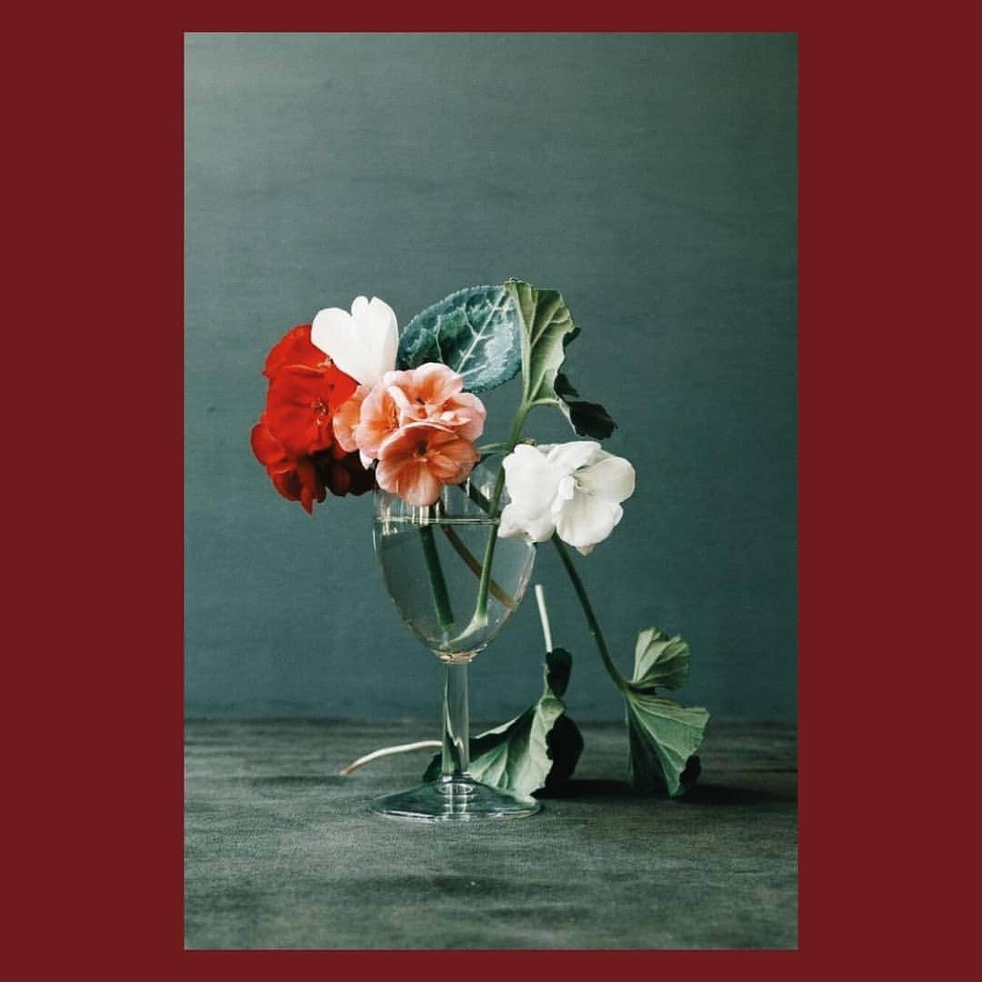 ベンシモンのインスタグラム：「S'envelopper de douceur... et de couleur ! 🌸 ​ ​Petit point sur nos actus pour passer un bon week-end :  ​ ✨ Nos soldes ont commencé, retrouvez vos pièces mode et déco préférées jusqu'à -50% sur le site et dans nos boutiques.  ​ ​✨ Pour s'adapter aux mesures gouvernementales, nous avons adapté les horaires de nos boutiques. Certaines ouvrent plus tôt, d'autres le dimanche ! ​Pensez à vérifier les nouveaux horaires de votre boutique préférée sur notre page Boutique de notre site internet. (lien dans la bio)  ​ ​✨ La livraison en boutique est offerte en France et en Belgique sans minimum d'achat et les retours sont toujours gratuits ! Pas de raison de ne pas se faire plaisir 🛍 ​ ​✨ Si vous avez la moindre question, n'hésitez pas à nous écrire, nous sommes là pour vous aider et vous conseiller 😊💌  📸 @still_______ ​#inspiration #flower #mode #decoration」