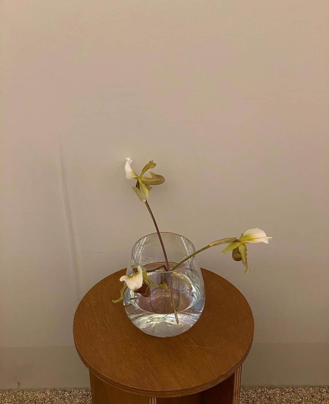 ジュヨン さんのインスタグラム写真 - (ジュヨン Instagram)「floristbrenda 💐」1月22日 21時15分 - jupppal