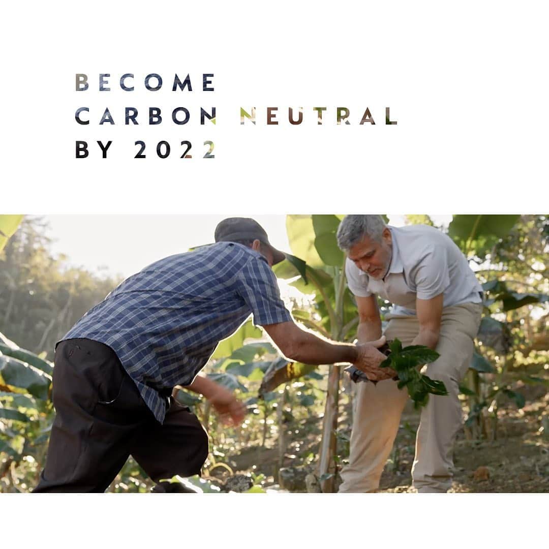 Nespressoのインスタグラム：「With every cup we are planting trees to become guardians of nature. 4.5 million so far and still continuing, restoring ecosystems and reviving devastated farmlands so that by 2022 we will become carbon neutral.   #Witheverycup #Nespresso」