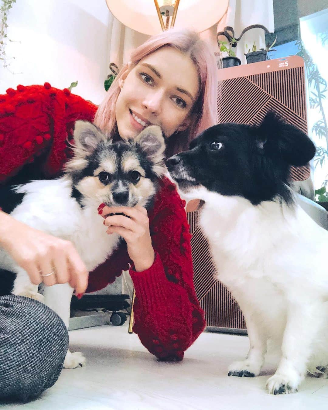 ステファニー・ミチョヴァのインスタグラム：「#광고 Cleaning the air from dust and smell in our house with @samsungkorea Bespoke Cube Air Especially good at detecting and cleaning doggie farts hahaha 비스포크 큐브 에어로 집의 먼지와 냄새를 관리하고 있어요. 강아지 방구도 잘 잡아줘요😂 #취향가전 #가전을나답게 #비스포크큐브에어」