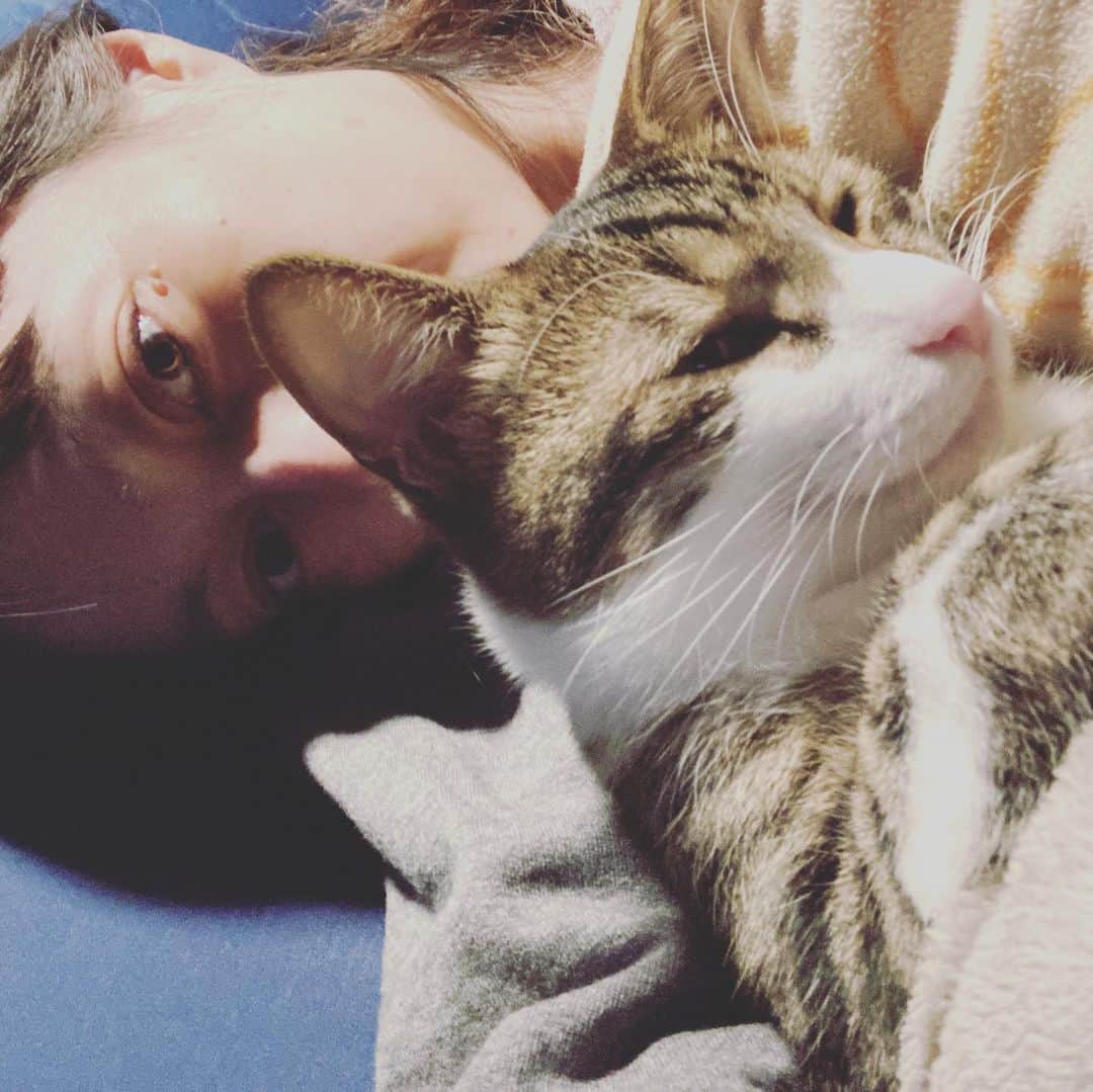 佐伯日菜子さんのインスタグラム写真 - (佐伯日菜子Instagram)「寝起きのミロちゃんはわりと悪人顔。 悪猫顔か。 #おやすみなさい  #ねこすたぐらむ  #猫  #きじしろ  バーニャは足元で寝がち。」1月22日 22時01分 - hinakosaeki