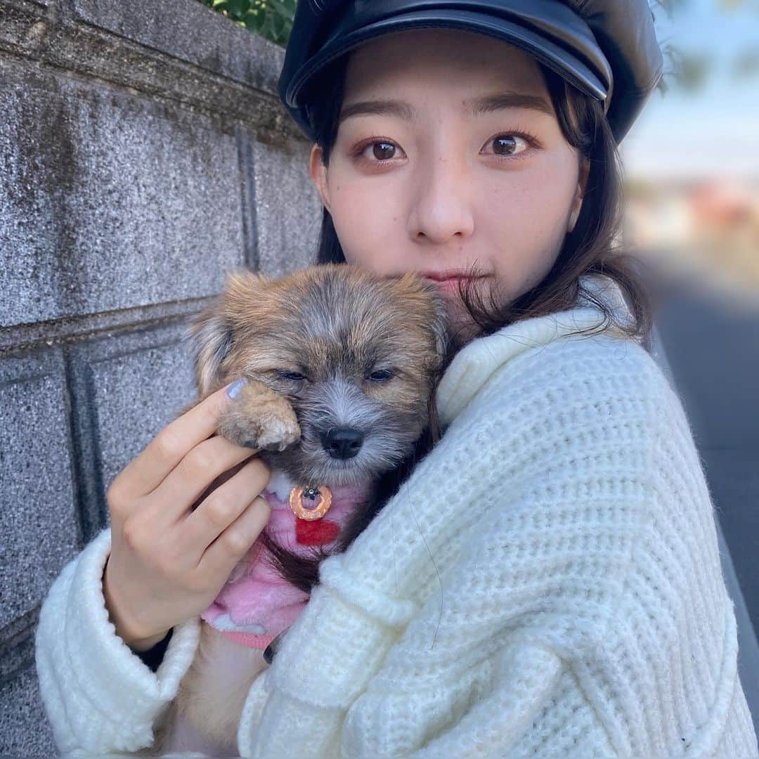 宮原華音さんのインスタグラム写真 - (宮原華音Instagram)「🐶☀️🐶☀️🐶☀️🐶☀️﻿ ﻿ ﻿ 外に連れ出すと﻿ 眠くなる愛犬🐶❤️﻿ ﻿ ﻿ 写真撮ってもだいたい﻿ 目をつぶってる笑﻿ ﻿  #愛犬 #愛犬との暮らし #愛犬のいる生活 #愛犬との時間 #ミックス犬 #ミックス #ミックス犬部 #シーズー #柴犬 #愛犬バカ」1月22日 22時37分 - miyahara_kanon