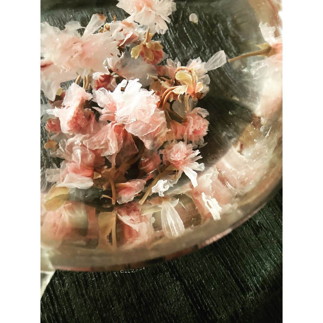 journaleatripのインスタグラム：「Cherry Blossom hot water  桜湯 桜の塩漬けは 香りだけでなく塩が味にもいい役割をだしてくれる。 あんぱんもだけど 桜ご飯に 桜湯　 いい塩梅もといこの時季はいい塩桜ね^ ^  明日は海の季節の味が楽しめる fish marketです！  通常は月初めの第一土曜日ですが今回は ご要望に応えて。  1月23日 12時からです。 @eatripsoil   #お花見撮影」