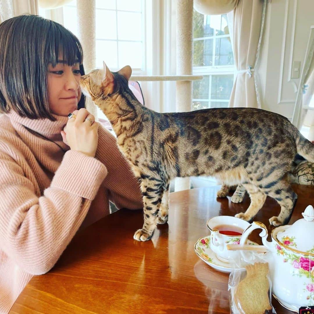 秋吉織栄（宮内かれん）のインスタグラム