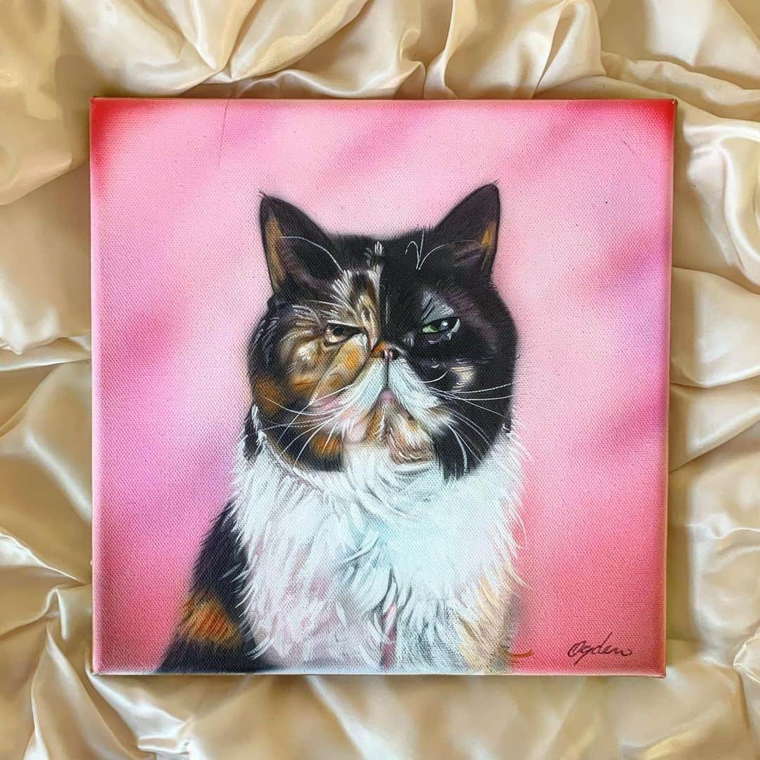 Pudgeのインスタグラム：「#PudgeFanArt sent via @chewy 💕 Thank you!」