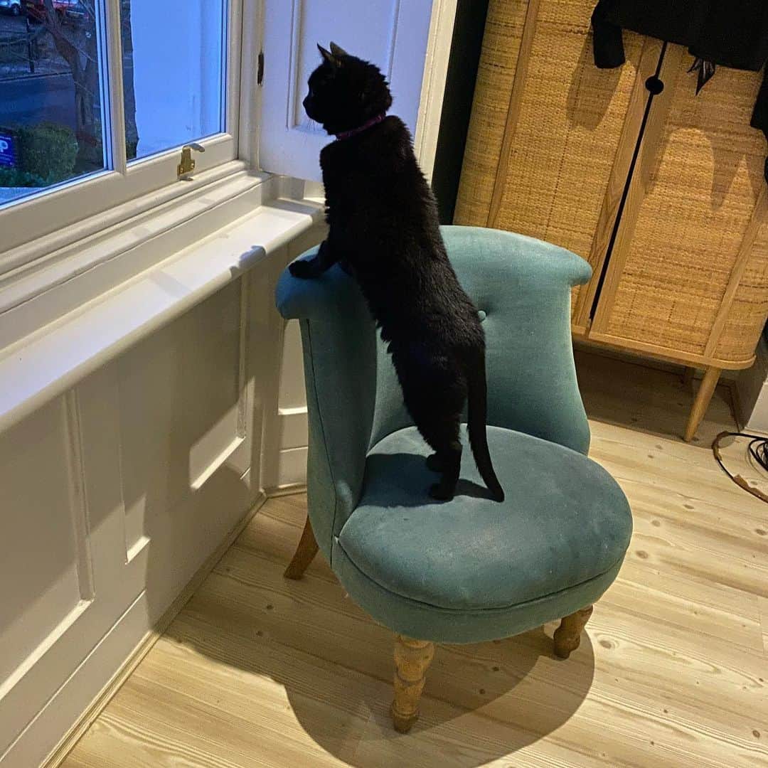 ファーン・コットンさんのインスタグラム写真 - (ファーン・コットンInstagram)「This week.  Picture one. Me opening the door to my mind 🤯 Picture two. Me and Lula looking outside thinking we really can’t be arsed with this weather.  Picture three. Reminiscing about gigs, and festivals and dancing with strangers. Glasto news making it all hit home a little more. Love to @emily_eavis and team. Pic by super talented @sonnymccartney at a Stones gig some time ago. Picture four. My step son diving into 19. Proud of how my teenager step kids are processing what’s going on. A tough time for that generation.  Picture five. My children running from me every time I mention the words ‘home’ & ‘school’ in the same sentence.  Picture six. Wondering how to make two inch roots work. We’re now passed the Debbie Harry stage of root quickly hurtling towards hair hell. How’s your week been?❓」1月23日 4時37分 - fearnecotton