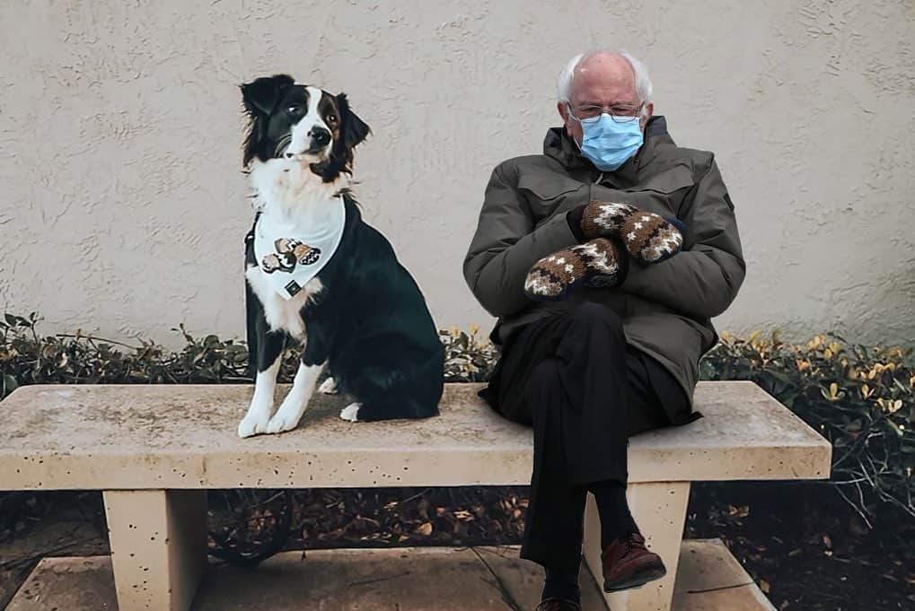 DogsOf Instagramのインスタグラム：「When you show up to the park wearing matching mittens...  Now you too can get the Bernie Mittens look! These LIMITED EDITION dog bandanas are handmade by @designedimpulseco and available through our web shop! Free shipping within the U.S. + 10% of all proceeds donated to animal welfare via @welovecuddly!  ~Link in bio~  Pssst! A little birdie told us that there’s only 200 of these bandanas so you’re going to want to gets yours right now 🧤  #dogsofinstagram #berniesmittens #berniesits #dogbandana」