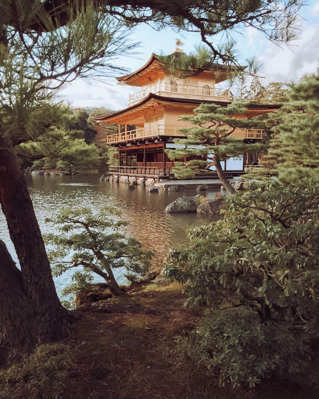 アナ・イバノビッチさんのインスタグラム写真 - (アナ・イバノビッチInstagram)「Dreaming of traveling while sitting at home. #Flashback to my trip to Kyoto. Missing these times. #takemeback」1月22日 23時43分 - anaivanovic