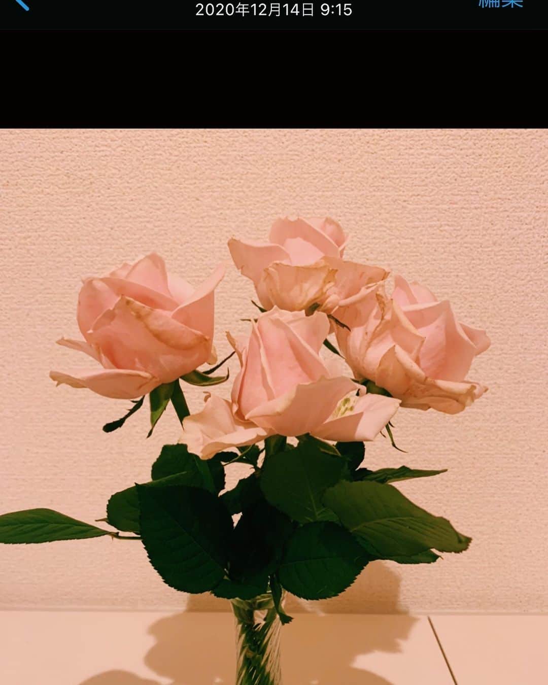 小湊優香さんのインスタグラム写真 - (小湊優香Instagram)「１ヶ月以上咲き続けている﻿ ピンクの薔薇と最近仲間入りした赤い薔薇🥀﻿ ﻿ ﻿ ピンクの生命力すごくない？！？！日付みて！(笑)﻿ フラワーベースの影が可愛くて撮った☺️﻿ ﻿  小さい頃から家にお花が常にあったから ﻿何かしら育ててる✨ そう言えばおばあちゃんは私が中3の時に持って帰ってきたシクラメン未だに育ててくれてるわ·····つよ(笑)  ﻿ ﻿  #花のある暮らし #花のある生活 #Flower #flowerstagram #ビタミンF  #ビタミンf効果」1月23日 0時07分 - y.miranic