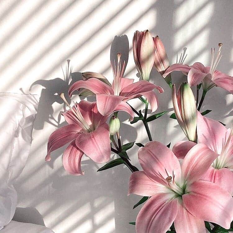 SHEINさんのインスタグラム写真 - (SHEINInstagram)「Bloom with grace 🌸  @kechiabowman #SHEINinspo」1月23日 0時11分 - sheinofficial