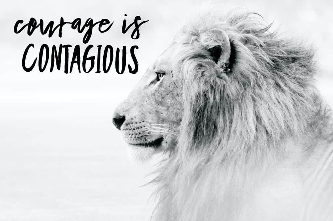 ケリー・ウォルシュ・ジェニングスのインスタグラム：「✌️ truths for you this Friday.   One from Churchill 🦁 One Re-posted from @oracleofyoursoul ✨  Happy Friday! Make it a good one 🙏」