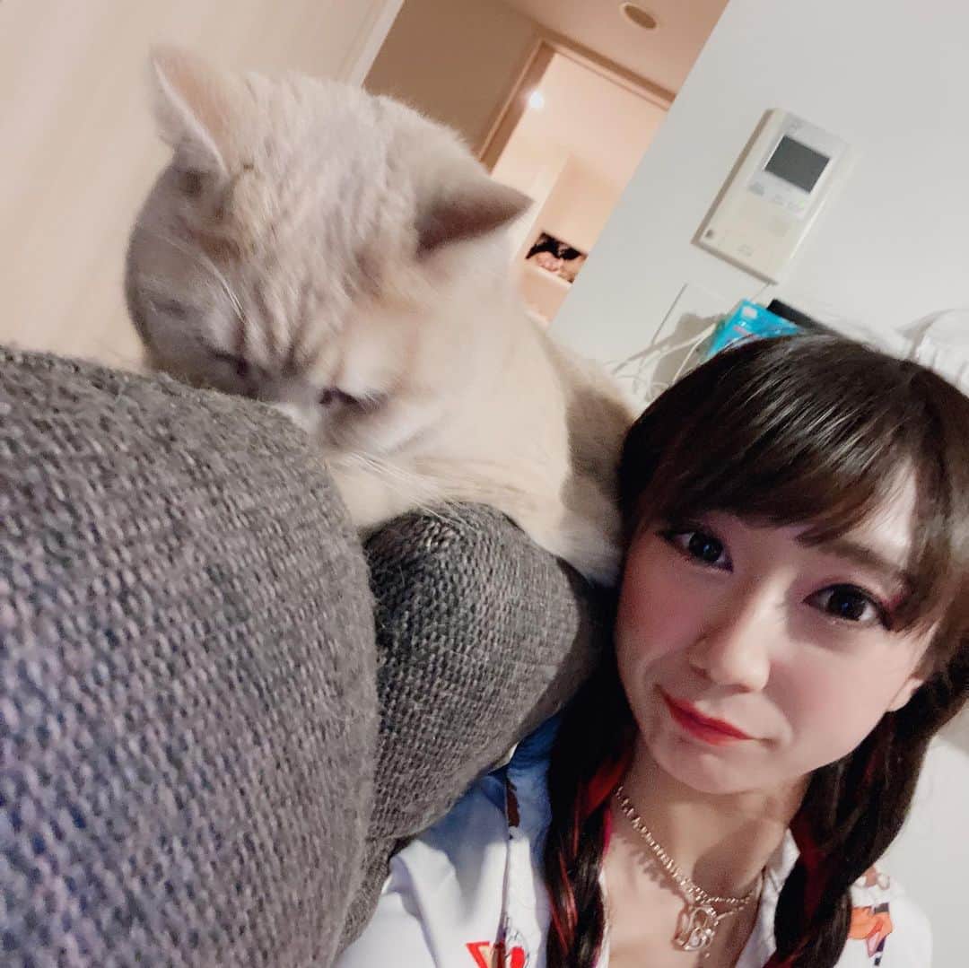 のインスタグラム：「らいちゃん不足の皆様へ🥳」