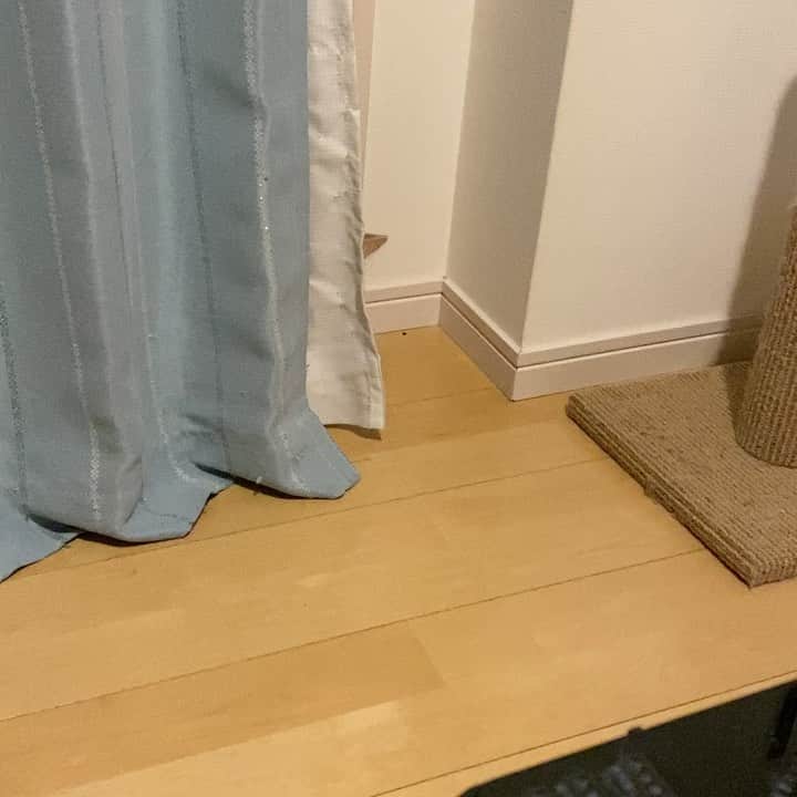 のインスタグラム：「らいちゃん不足の皆様へPart2❤️ らいちゃんはよく喋ります☺️」