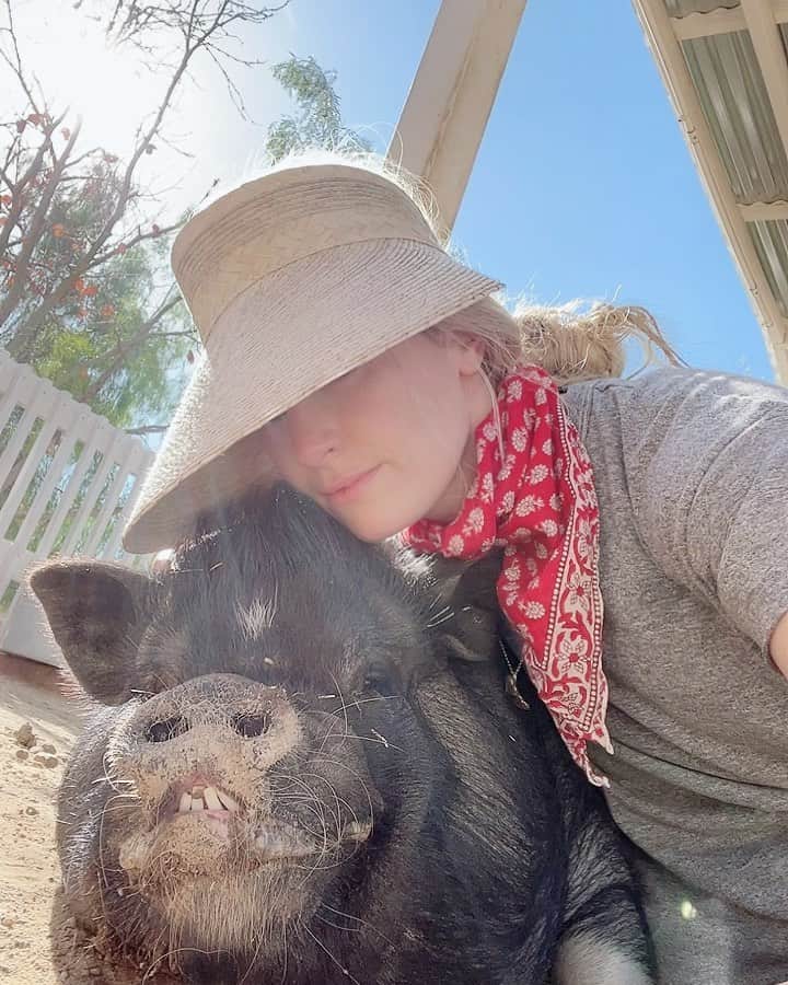 ベス・ベアーズのインスタグラム：「Animals are just the best. I highly recommend pig snuggles. #rescueanimals」