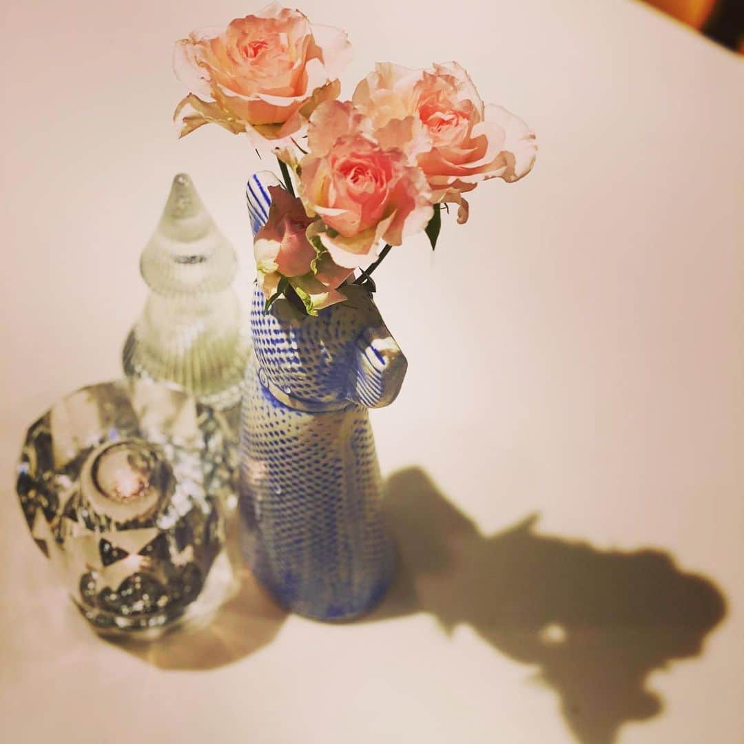 KOKIAのインスタグラム：「Flowers always make me happy. But especially this, the one my little son bought for me today with his first pocket money made me super happy!! #tokyo #japan #japon #kokia #photography #歌手 #コキア #insta #art #beautiful #picoftheday #follow #女性 #ソングライター #photooftheday #woman #jmusic #ボーカリスト #singer #songwriter #jpop #vocalist #voice #声 #ライブ #live #綺麗 #日本 #livestream」